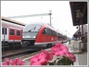 Startol a MÁV nyári menetrendje